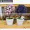 Ceramic mushroom-shaped for secretaire decoration potted plant