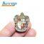 Custom zinc alloy plated carving gryffindor enamel lapel pin