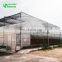 2017 China Commercial Film Greenhouse Supplies