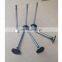 Diesel Engine Spare Parts ISDE Engine Valve 3940735 3940734