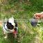 Low Price Guaranteed Quality Customized Private Label Fashion Retractable Dog Leash