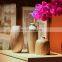 American art living room tea table decorations ceramic plug flower vase