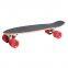 22inch OEM Design Canadian Maple Wood Mini Cruiser Fish Skateboard