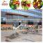 Turnkey project vegetable process equipment