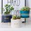 Home Decor Accessories Succulent Planter Small Ceramic Flower Pots Violet Chaozhou Office Table Plant Ceramic Pot With Stand