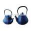 Pumpkin Tea Kettle with 2 Cups Japanese Tea Set with Stainless Steel Infuser Enamel Tetsubin Chinese Cast Iron Teapot Pot Set