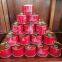 Canned Tomato paste