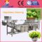 Factory price air bubble and spray vegetables washing/cleaning machine for vegetables factory use