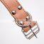 High quality leather dog collar