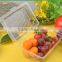 eco-friendly disposable plastic plastic fruit tray