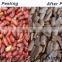 hot sale high quality cheap DTJG dry peanut peeling machine/ peanut peeler
