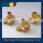 brass check valve for air compressor