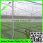 Suntex virgin HDPE insect netting prevent bird mesh
