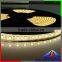 DC 12V 24V swiming pool waterproof ip68 led strip 5050