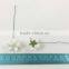 White Red Green,Christmas, Small Handmade Mulberry Paper Flower, Wedding Party, Scrap-booking Crafts Pastel