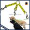 TPU dog leash with two dogs coupler waterproof for Park walking