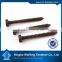 India manufacturer drywall screw gun washers making machine Black , box paaking phillips bugle head drywall screws