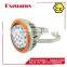 LED Explosion proof Protected Lighting Fixtures (IIB,IIC,DIP)