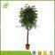 customized in stock plastic artificial banyan tree for indoor decoration