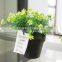 Cheap Plastic Artificial Small Potted Flower Plant in Black Plastic Pot for Sell
