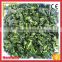Iqf Frozen Fresh Spinach Prices Wholesale