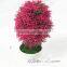 Selling table decoration artificial boxwood grass ball bonsai