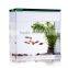 Custom High Quality Acrylic Fish Tank, Plexiglass Fish Tank