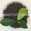 Fertilizer Use diammonium phosphate DAP 18-46-0                        
                                                Quality Choice
