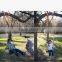 Ningbo Swing Straps garden swing strap.tree strap.Platform Swings