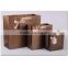 Solid Color Luxury Special Paper Bag