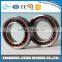 Massive Products Angular Contact Ball Bearing 7000