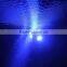 Wholesale Price T10 Led Bulb Canbus W5W 5SMD For Interior Light