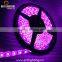 Super bright waterproof non-waterproof 5050 3528 2835 5630 60led/m led programmable rgb rope light
