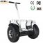 New offroad buggy 19inch fat tire electric scooter with cool style