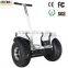 New Offroad Buggy 19inch Fat Tire Electric Scooter With Cool Style
