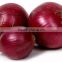 Red onion Exporter In India