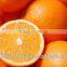 FRESH NAVEL CITRUS ORANGE