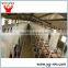 pig farm equipment automatic livestock feeder pig automatic system