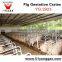 Pig Farm Equipment Sow Pig gestation crates Pig Equipment