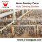 automatic poultry drinking for chicken poultry equipment price for chicken farm