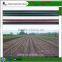 Agriculture flat drip tapes with double line for irrigation