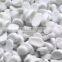 BEST GRADE VIETNAM FILLER MASTERBATCH FOR PVC PIPE