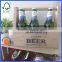 Rustic Used Wooden Beer Bottle Crate
