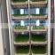 Bean Seeds Sprout Machine / Competetive Price Bud Seeding Machine for sale