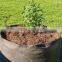 Nonwoven Fabric Raised Bed for Flowers (1 Gal to 1200 Gal) OEM Smart Pots