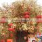 Real touch factory gloden artificial ficus tree fake banyan tree