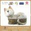 13 Inch Snail Fiberglass Animals Statues For Sale