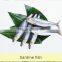China made canned fish sardine low price frozen sardine for canning