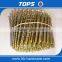 Stainless Steel Screw Wire Coil Nail
