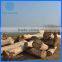 Factory Price Paulwonia Wood for Furniture Supplier